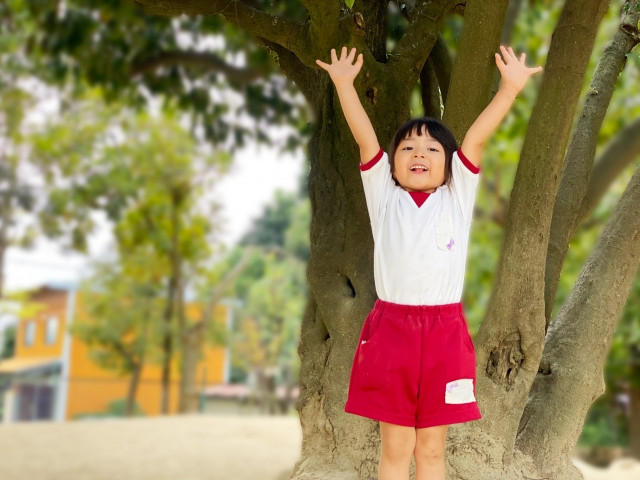 幼稚園選び