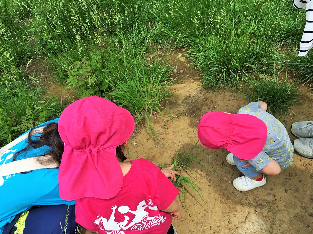 公園あそびは盛りだくさん! 縄跳び、昆虫探し、お砂場あそびを満喫!